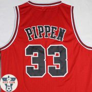 Bulls01_web_Pippen04