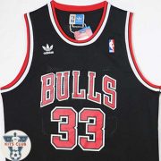 Bulls03_web_Pippen02