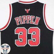 Bulls03_web_Pippen03