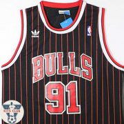Bulls04_web_Rodman02