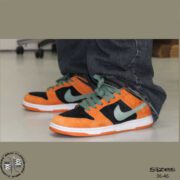 SB-DUNK-low-UGLY-DUCKLING-web-05